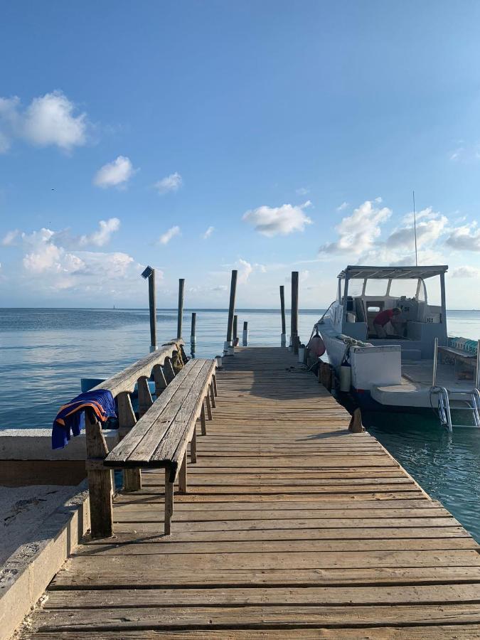 Paradise Divers Hotel Utila Exteriér fotografie